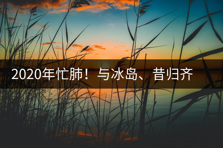2020年忙肺！與冰島、昔歸齊名的普洱茶，到底是什么味道？-易武中聘號(hào)