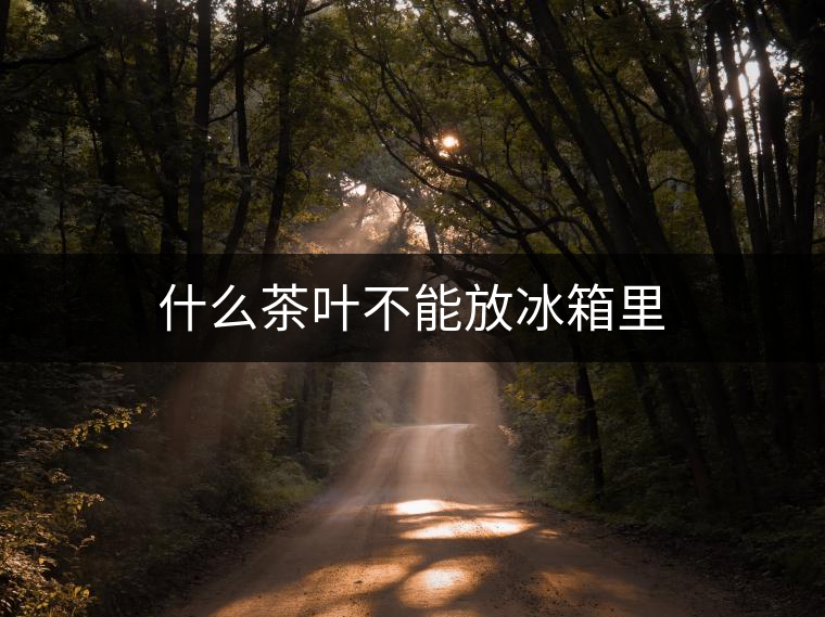 什么茶葉不能放冰箱里