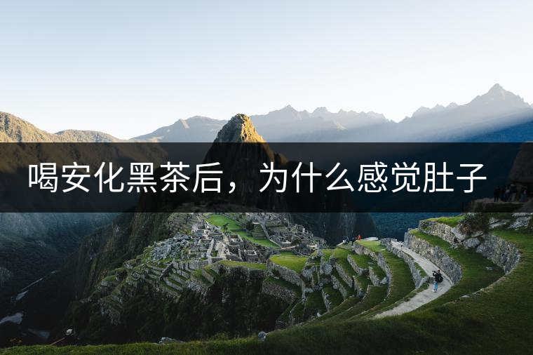 喝安化黑茶后，為什么感覺肚子餓的快？