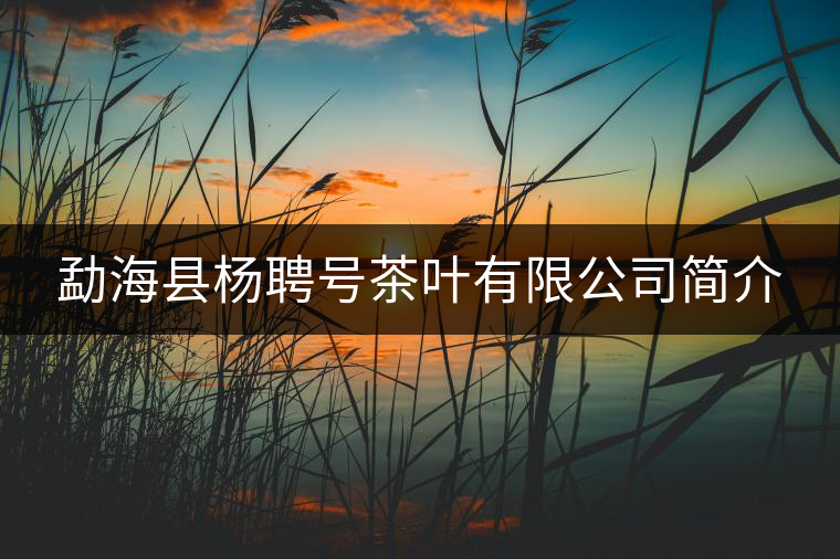 勐?？h楊聘號(hào)茶葉有限公司簡(jiǎn)介