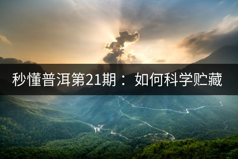 秒懂普洱第21期 :如何科學(xué)貯藏普洱茶? 秒懂普洱第21期 :如何科學(xué)貯藏普洱茶?