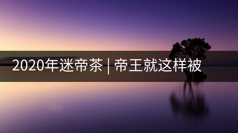 2020年迷帝茶 | 帝王就這樣被迷住了？-易武中聘號(hào)