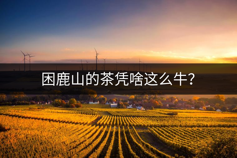困鹿山的茶憑啥這么牛？