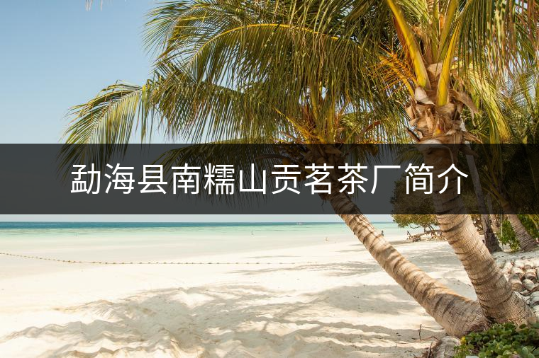 勐??h南糯山貢茗茶廠簡(jiǎn)介 勐海縣南糯山貢茗茶廠簡(jiǎn)介