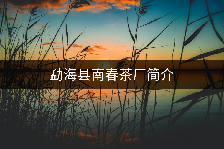 勐海縣南春茶廠簡(jiǎn)介