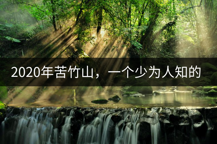 2020年苦竹山，一個少為人知的后起之秀！-易武中聘號