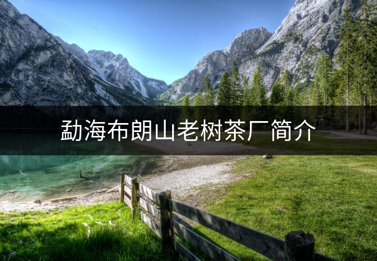 勐海布朗山老樹茶廠簡介 勐海布朗山老樹茶廠簡介