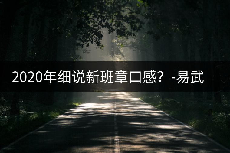 2020年細(xì)說新班章口感？-易武中聘號