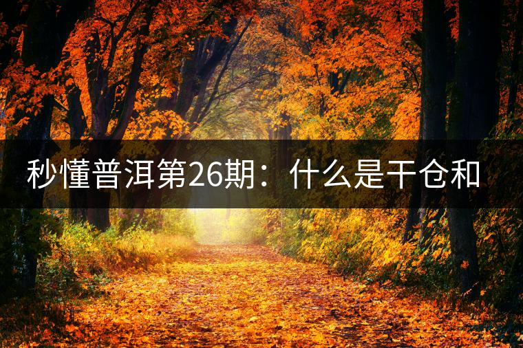 秒懂普洱第26期:什么是干倉和濕倉? 秒懂普洱第26期:什么是干倉和濕倉?