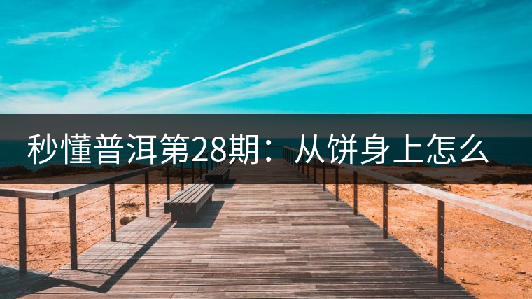 秒懂普洱第28期：從餅身上怎么辨識干倉與濕倉 普洱茶？