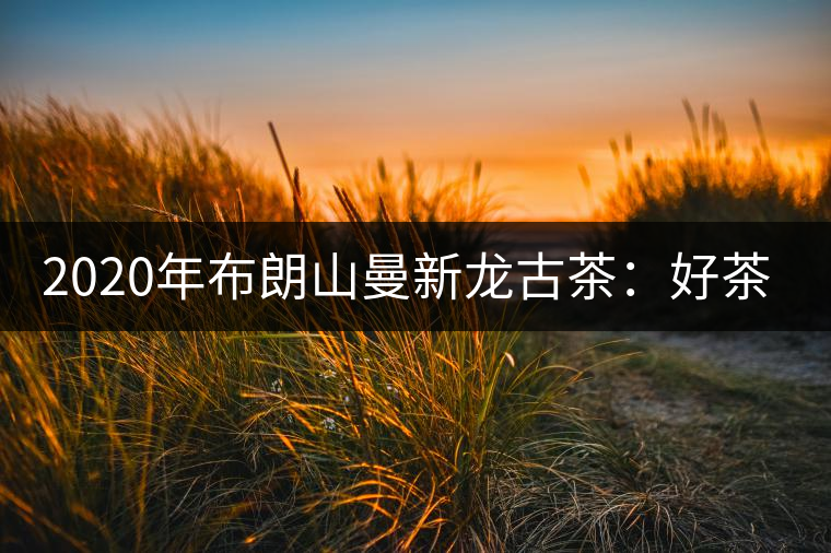 2020年布朗山曼新龍古茶:好茶需細品-易武中聘號 2020年布朗山曼新龍古茶:好茶需細品-易武中聘號