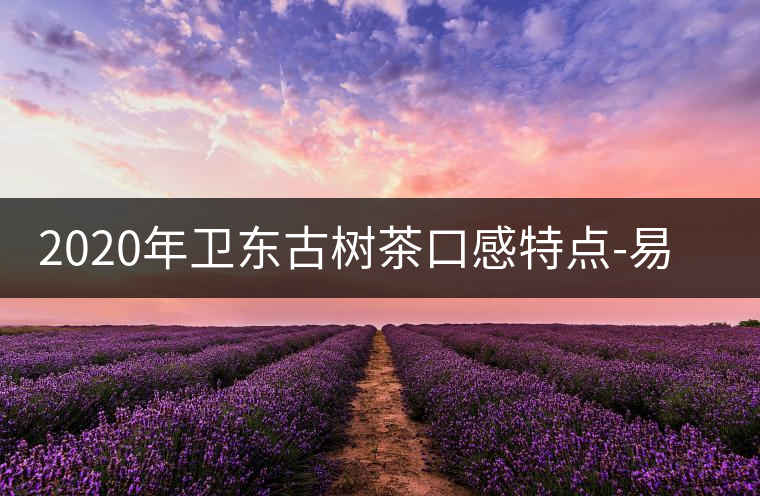 2020年衛(wèi)東古樹茶口感特點-易武中聘號