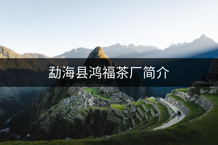 勐海縣鴻福茶廠簡介 勐海縣鴻福茶廠簡介