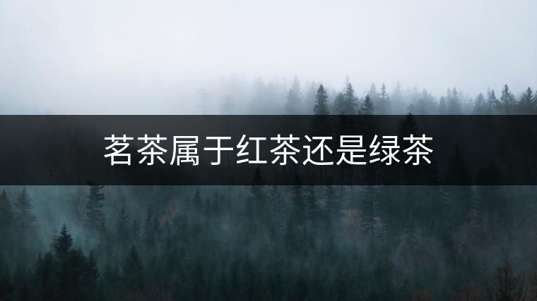 茗茶屬于紅茶還是綠茶 茗茶屬于紅茶還是綠茶