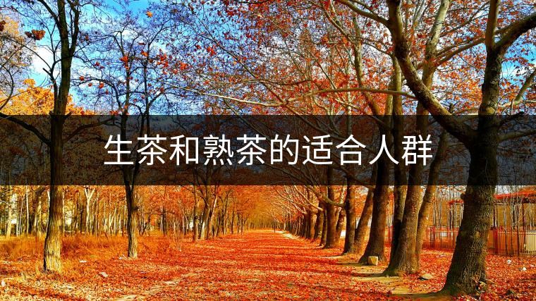 生茶和熟茶的適合人群