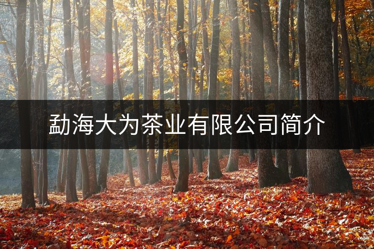 勐海大為茶業(yè)有限公司簡介 勐海大為茶業(yè)有限公司簡介