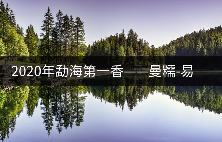 2020年勐海第一香——曼糯-易武中聘號