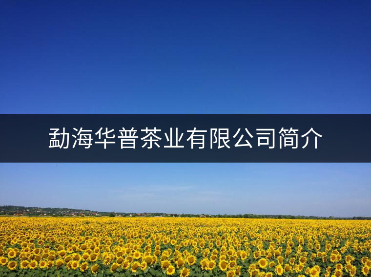 勐海華普茶業(yè)有限公司簡介 勐海華普茶業(yè)有限公司簡介