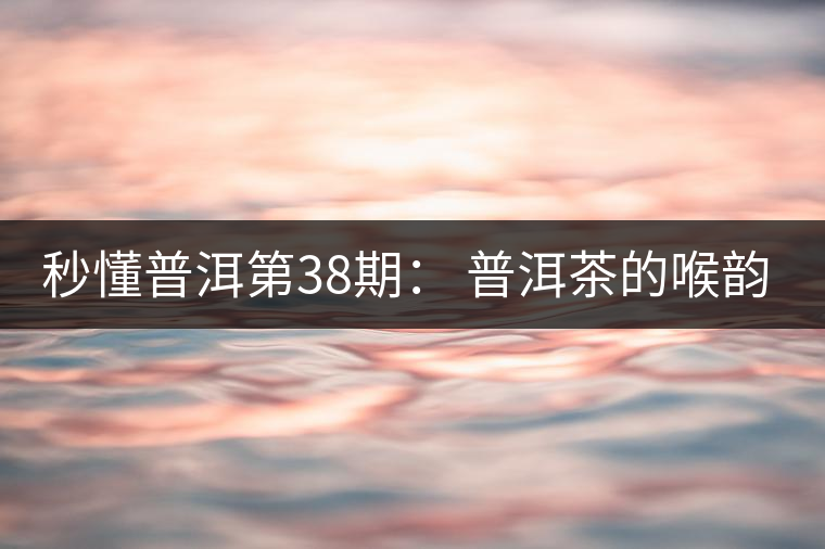 秒懂普洱第38期： 普洱茶的喉韻是什么？