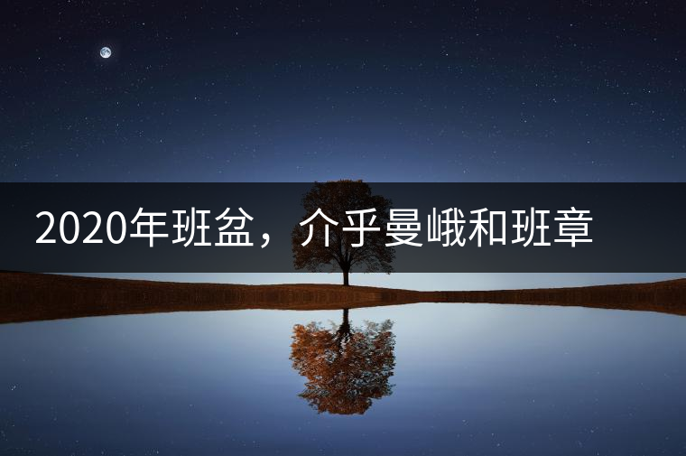 2020年班盆，介乎曼峨和班章間的“老漢子”-易武中聘號
