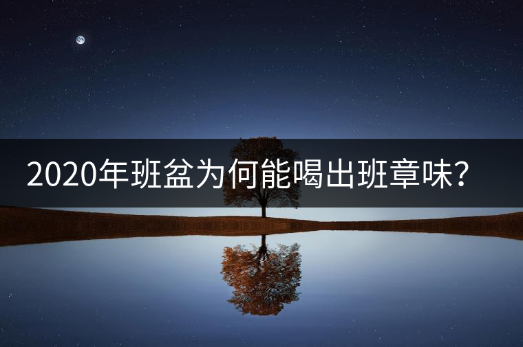 2020年班盆為何能喝出班章味？-易武中聘號