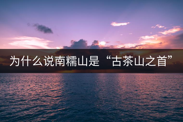 為什么說(shuō)南糯山是“古茶山之首”？