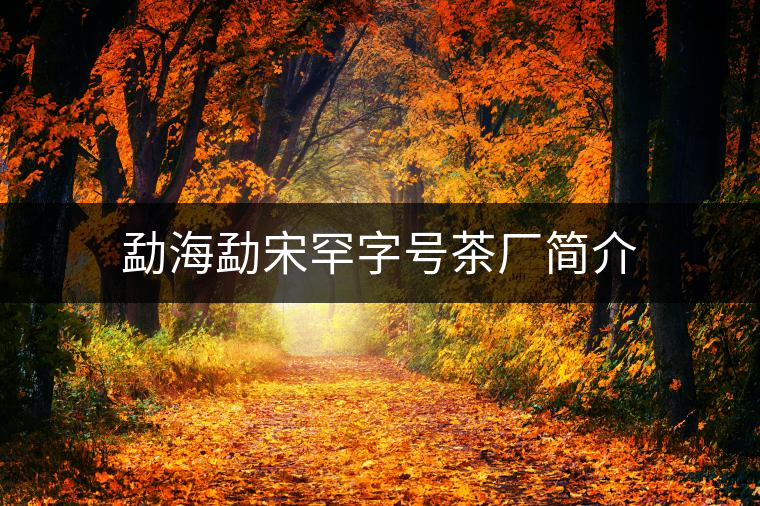 勐海勐宋罕字號(hào)茶廠(chǎng)簡(jiǎn)介 勐海勐宋罕字號(hào)茶廠(chǎng)簡(jiǎn)介