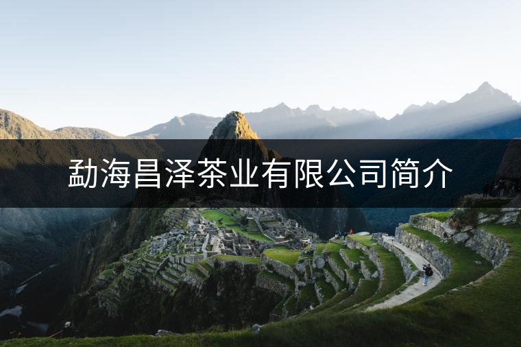 勐海昌澤茶業(yè)有限公司簡(jiǎn)介 勐海昌澤茶業(yè)有限公司簡(jiǎn)介