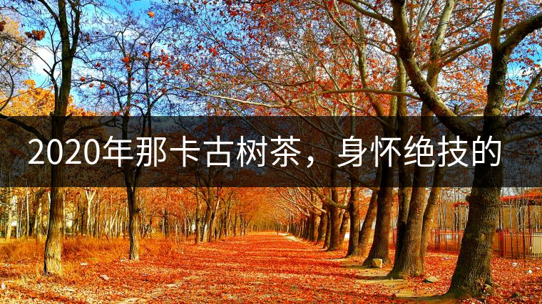 2020年那卡古樹(shù)茶，身懷絕技的“小班章” -易武中聘號(hào)