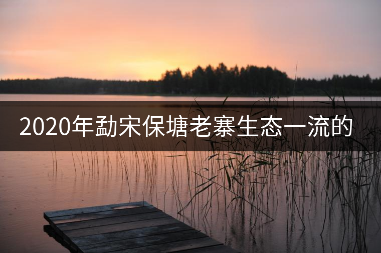 2020年勐宋保塘老寨生態(tài)一流的古樹茶-易武中聘號