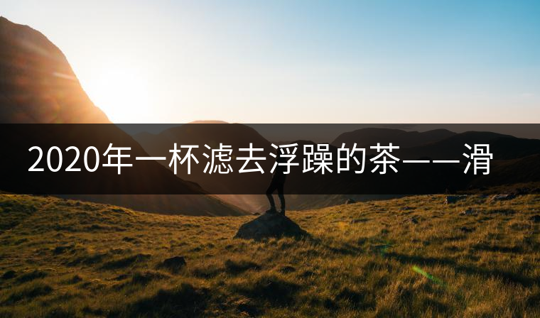 2020年一杯濾去浮躁的茶——滑竹梁子 -易武中聘號(hào)