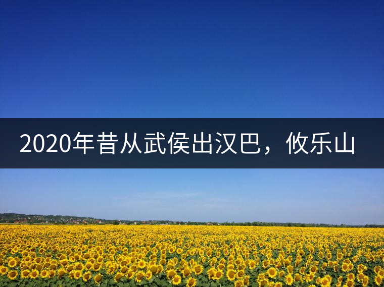 2020年昔從武侯出漢巴，攸樂山中只種茶。-易武中聘號