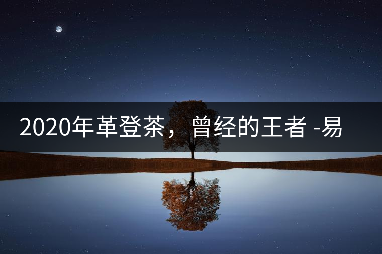 2020年革登茶，曾經的王者 -易武中聘號