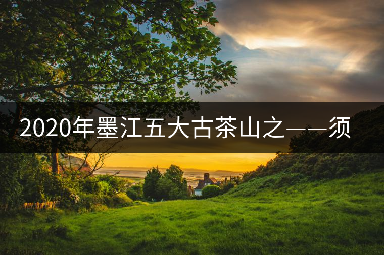 2020年墨江五大古茶山之——須立貢茶古茶山-易武中聘號 2020年墨江五大古茶山之——須立貢茶古茶山-易武中聘號