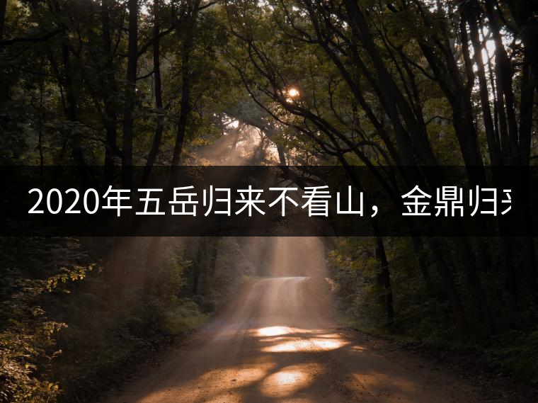 2020年五岳歸來不看山，金鼎歸來不看茶   -易武中聘號