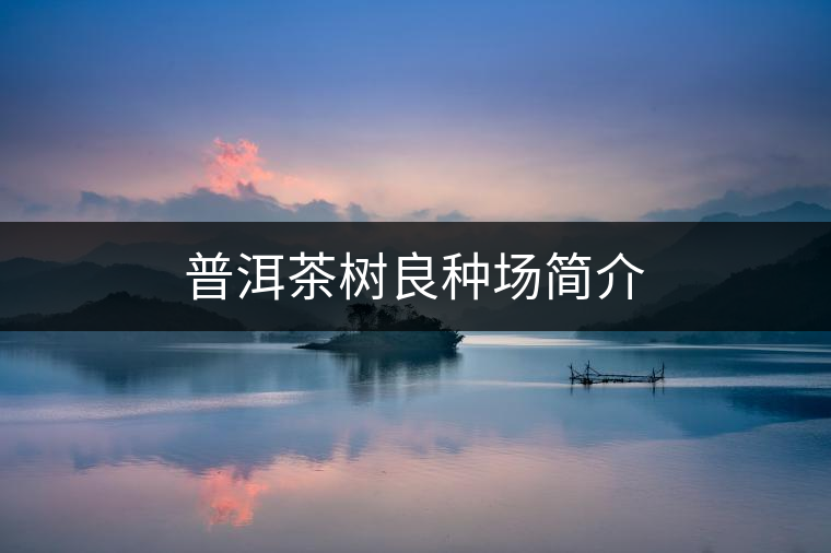 普洱茶樹(shù)良種場(chǎng)簡(jiǎn)介