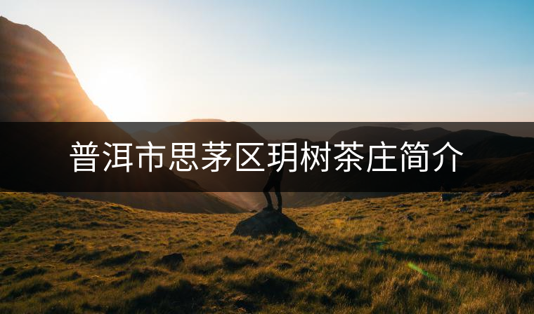 普洱市思茅區(qū)玥樹茶莊簡介