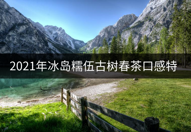 2021年冰島糯伍古樹春茶口感特點(diǎn)？