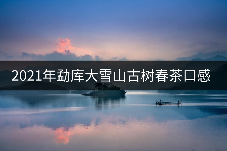 2021年勐庫大雪山古樹春茶口感特點？