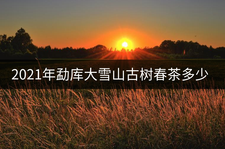 2021年勐庫大雪山古樹春茶多少錢一公斤？