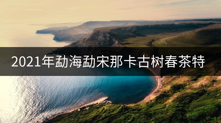2021年勐海勐宋那卡古樹春茶特點(diǎn)？