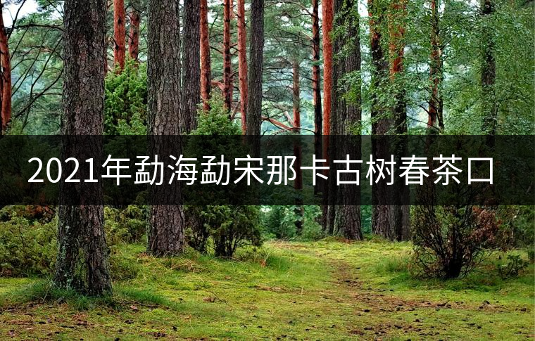 2021年勐海勐宋那卡古樹春茶口感特點(diǎn)？