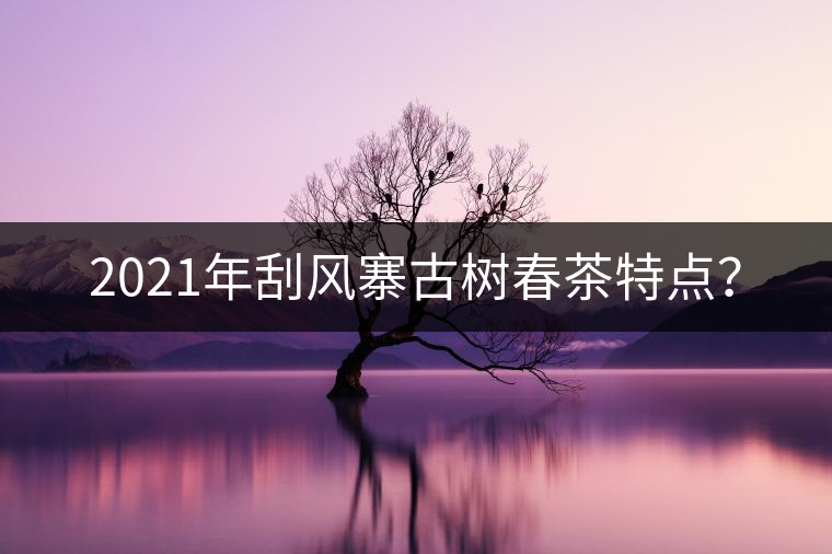 2021年刮風(fēng)寨古樹春茶特點(diǎn)？
