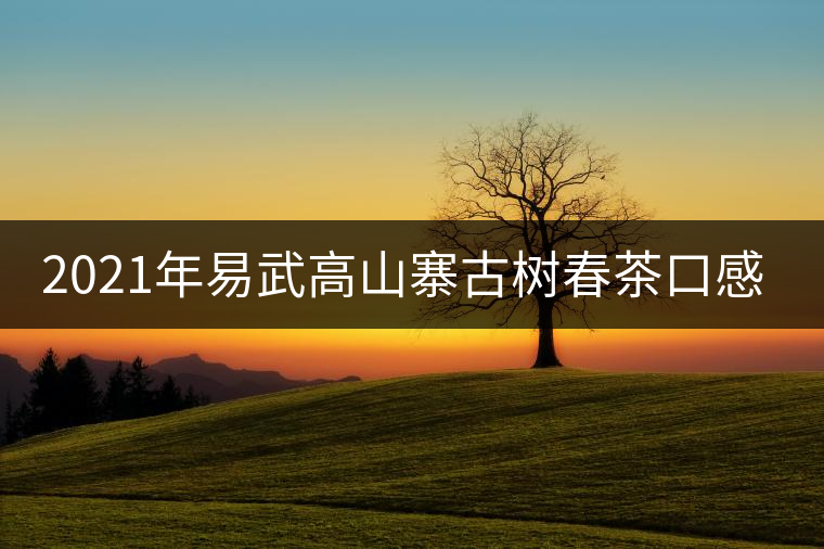 2021年易武高山寨古樹(shù)春茶口感特點(diǎn) 2021年易武高山寨古樹(shù)春茶口感特點(diǎn)