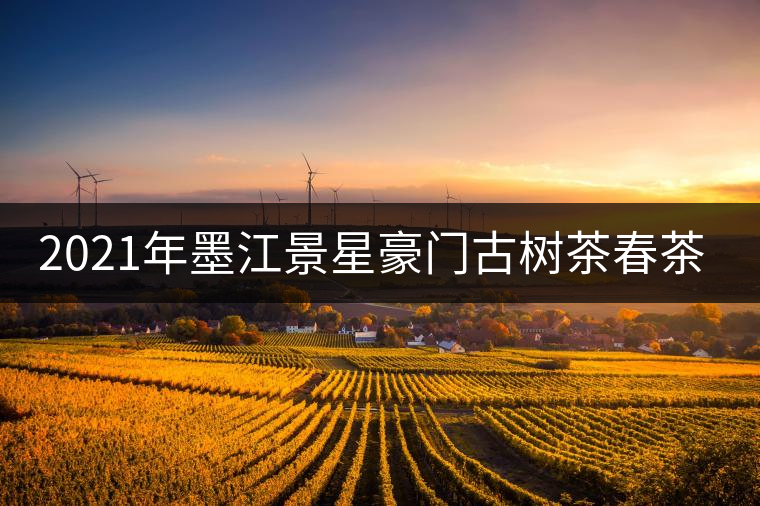 2021年墨江景星豪門古樹茶春茶價(jià)格多少錢一斤？