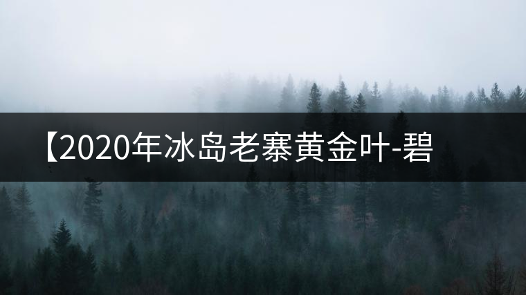【2020年冰島老寨黃金葉-碧波蕩漾一抹香，輕啜半盞甘若露。