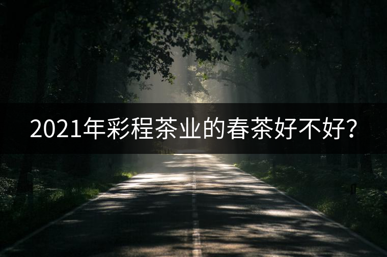 2021年彩程茶業(yè)的春茶好不好？