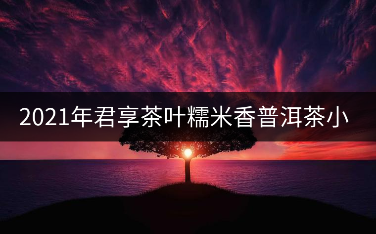 2021年君享茶葉糯米香普洱茶小沱茶餅口感好嗎？