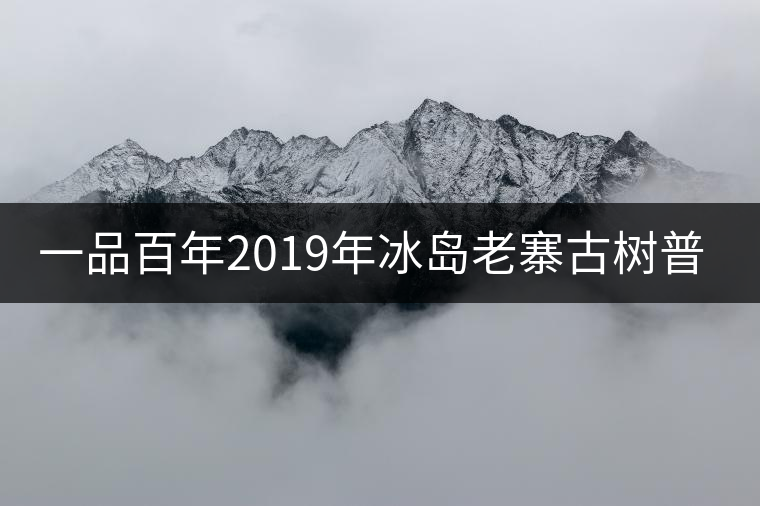 一品百年2019年冰島老寨古樹普洱茶生茶好喝嗎？