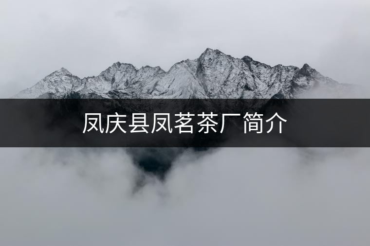 鳳慶縣鳳茗茶廠簡(jiǎn)介